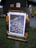 Januar 09